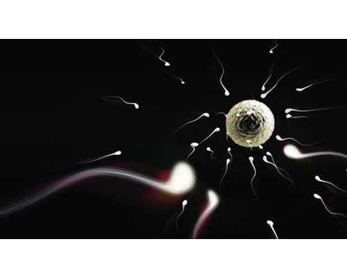 廈門三代試管比二代成功率高嗎?我們來聊聊